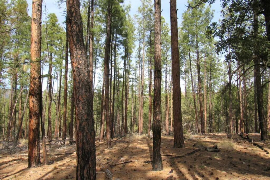 Forest Cabin 1 Hunters Blind Payson ภายนอก รูปภาพ