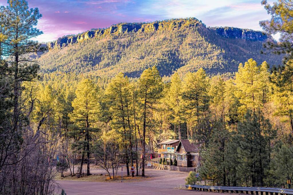 Forest Cabin 1 Hunters Blind Payson ภายนอก รูปภาพ